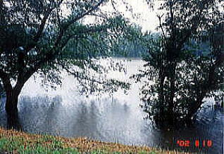 東久留米市の公園の調整池満水状態